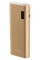 Внешний аккумулятор (УМБ) Accura Accubank ACC7221 10000mAh
